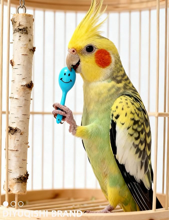 5-Pack Bird Toys for Parrots, Parakeets - Colorful, Safe, Fun for Big & Small Birds, Chase Toys Wildly (1.5'' - 2.8'')