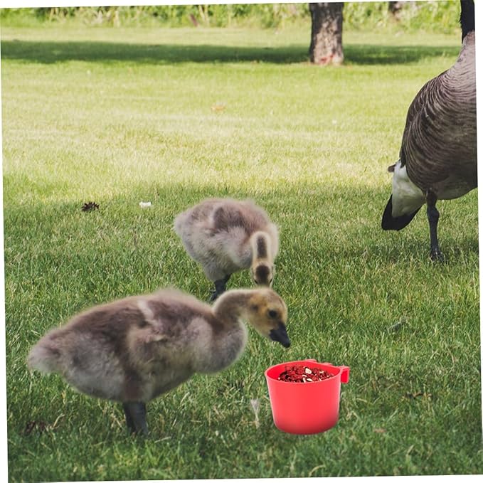 FRCOLOR 20pcs Bird Cage Cups Small Hanging Feeder Bowls Seed Holder for Indoor Birds Pet Feeding Watering Supplies