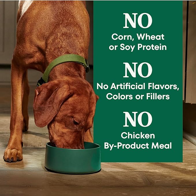 Nutro Natural Choice Senior Dog Food, Lamb & Brown Rice Recipe, 4.5 lb. Bag