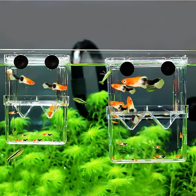 Petzilla in-Tank Aquarium Breeder Box for Fish Tank, Breeding Incubator for Small Fish Hatchery, Acrylic Divider for Shrimp Clownfish Aggressive Injured Fish (Large)
