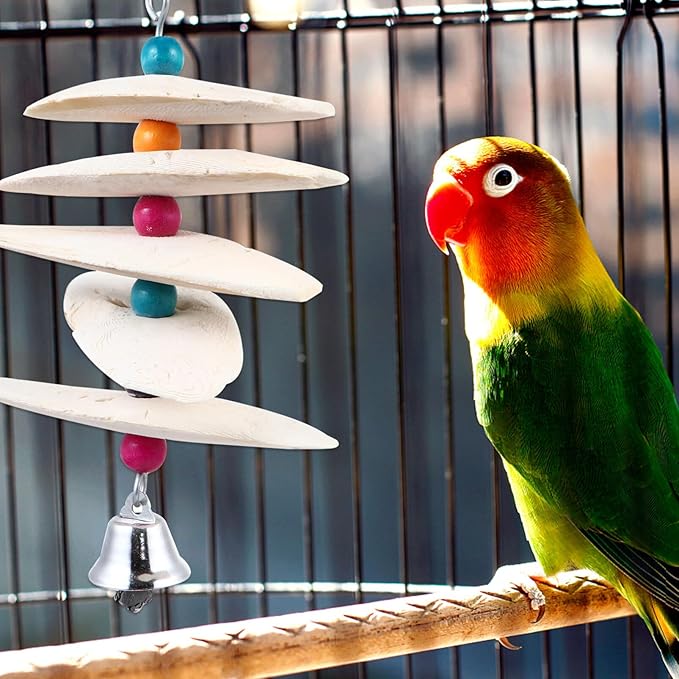 Scicalife Extra Large Cuttlebone Toy for Birds Calcium Supplement Parrot Cuddle Bone Chew Toy Natural Beak Molar for Macaw and Large Birds 6.7X2.75X1.77 Inches