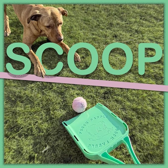Dog Ball Launcher with 3 Balls - Long-Distance Ball Thrower for Dogs with Ergonomic Grip & 3 Durable Balls – Hands-Free Pickup, Slobber-Free Play for Park, Beach & Backyard