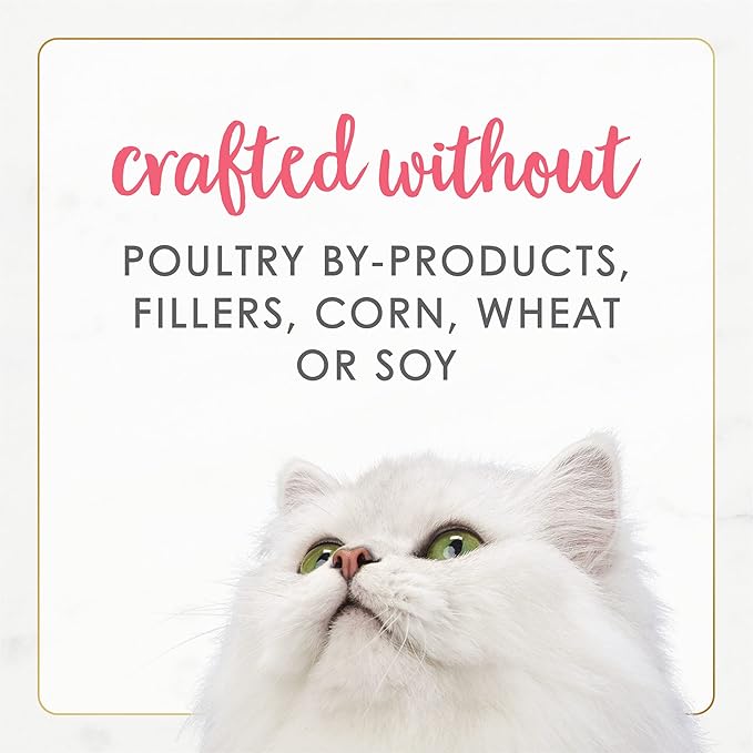 Purina Fancy Feast Grain Free Pate Wet Kitten Food Gourmet Naturals Wild Alaskan Salmon Recipe - (Pack of 12) 3 oz. Cans