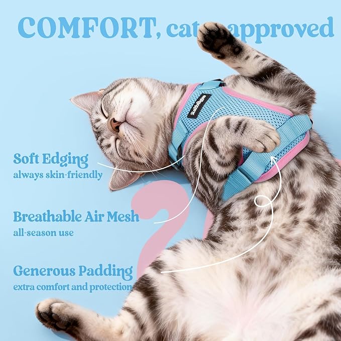 rabbitgoo Cat Harness and Leash for Walking, Escape Proof Soft Adjustable Vest Harnesses for Cats, Easy Control Breathable Reflective Strips Jacket, Light Blue&Pink, XS