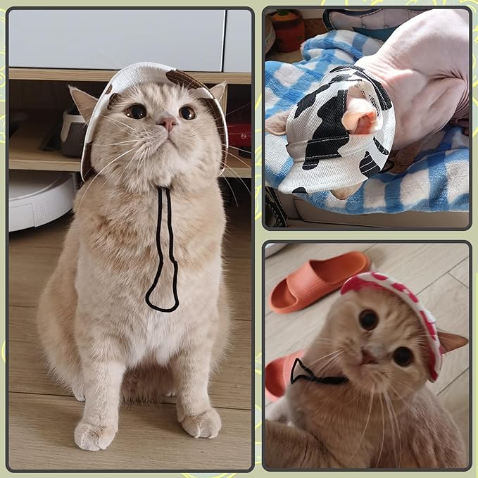 DENTRUN Cat Cowboy Hats with Ear Holes - Mini Sombrero Kitten & Chihuahua Hats for Tiny Pets - Fun Birthday Party Costume & Decorations