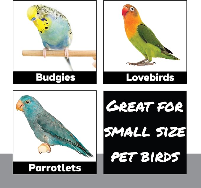 8001 Pk4 Small Sola Balls - Handcrafted Bird Toy & Cage Accessories for Parakeet, Parrot, Cockatiel, Conure - 2.4 Inch Lightweight Foraging Chew Parts - Breaks Apart, Lightweight, Easy top chew