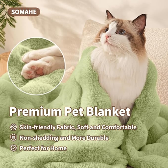 Self-Warming Cat Blanket for Indoor Cats & Small Dogs, Dual-Side Sherpa Plush Throw, Anti-Static Shared Couch Mat for Crate & Travel, Machine Washable No Shrink, 28x22 Inch Green