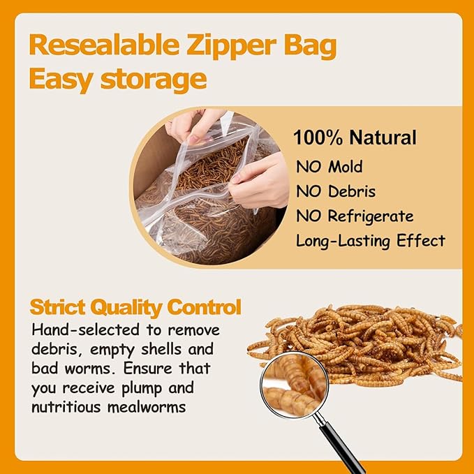 2LB Dried Mealworms, Non-GMO Meal Worms for Chickens & Birds, High Protein Chicken Feed, Natural Chicken Worms Ideal for Wild Birds, Reptile Tasty Bird Food