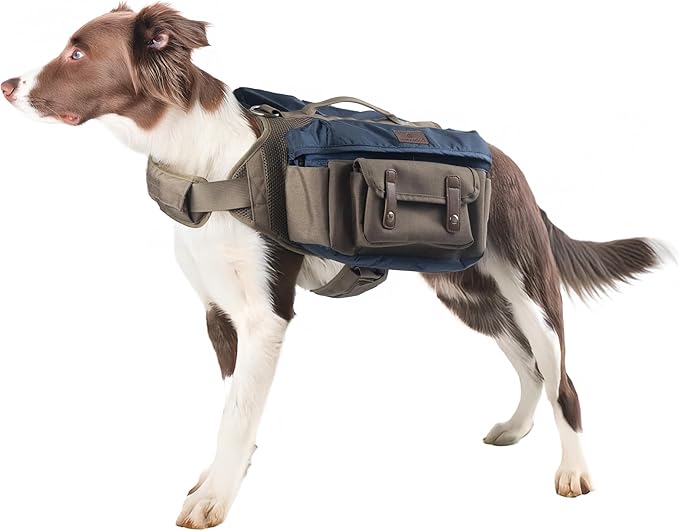 Dog Hiking Backpack Harness for Medium & Large Dogs – Durable Saddle Bag with Handle, Large Storage Compartments & Adjustable Fit for Outdoor Adventures, Camping & Day Trips (L)