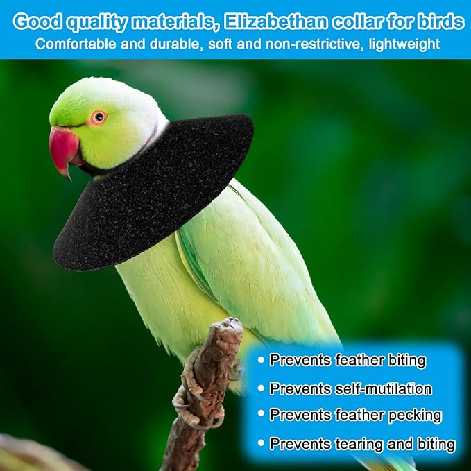 4pcs Bird Cone Collars, Anti-Grab Anti-Bite Bird Elizabethan Collars Parrot Cones for Lovebird Agapornis Budgerigar Cockatiel Cockatoo, Neck Safe Wound Safety