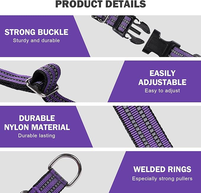 Hikiko Martingale Collar for Dogs Reflective Nylon Dog Collar with Quick Release Buckle Adjustable Training No Slip Dog Collar (X-Small, Purple)