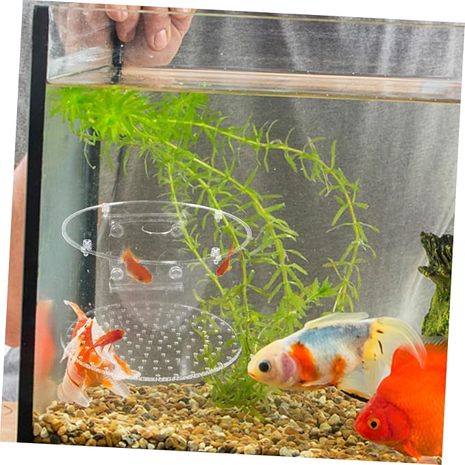 Yardwe Fish Breeding Box for Betta and Shrimp Lightweight Isolation Tank Protective Divider for Newborns and Pregnant Fish Aquarium Accessory