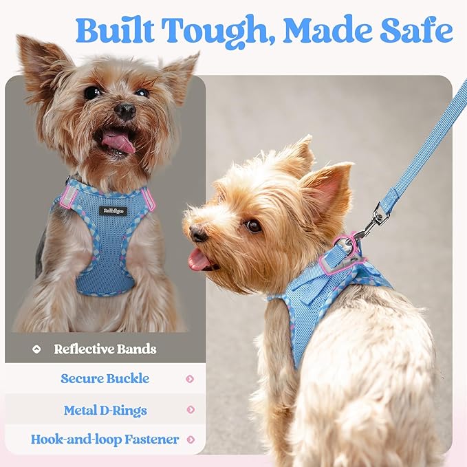 rabbitgoo Dog Harness Small Sized and Leash Set, Step in Soft Light Puppy Vest, Breathable Mesh Pet Harness, Reflective for Safe Easy Walking, Blue & Plaid Trim XS