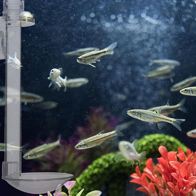 Aquarium Fish Feeder Tube with Acrylic Container, 15cm Wall-Mounted Shrimp Feeding Kit with Floating Ring and Cleaning Brush for Tank and Betta Supplies