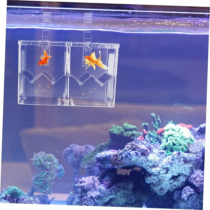 YARNOW 1pc Fish Tank Hatching Incubator Dual Isolation Box for Breeding Fish Plastic Aquarium Accessory Hook Mode for Guppies Shrimp