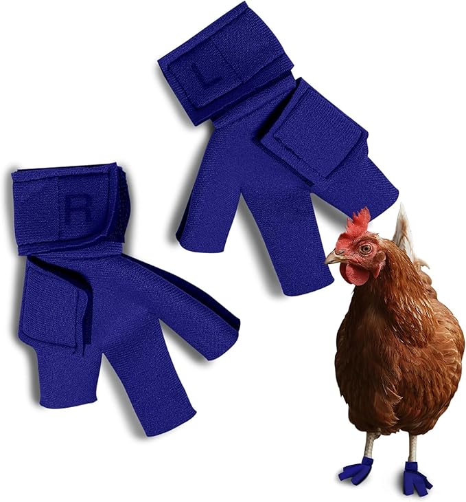 Chicken Shoes for Injured Feet – Protective Neoprene Footwear for Chicken, Open-Toe Design for Bumblefoot Relief, Made in USA (Chicken Shoes, Royal Blue, Medium Chickens)