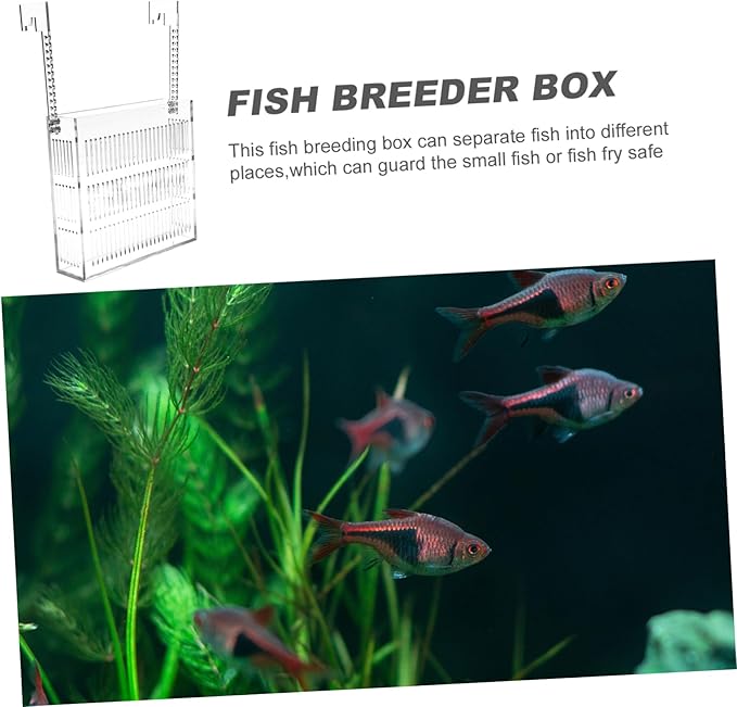TOYANDONA Hanging Fish Breeding Tank with Isolation Design Durable Easy to Install Fish Hatching Box for Increased Survival Rate