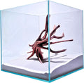 Lifegard Aquariums - 5 Gallon Cube Low Iron Ultra Clear Glass Tank 5mm - 10.47''x10.9''x10.9''