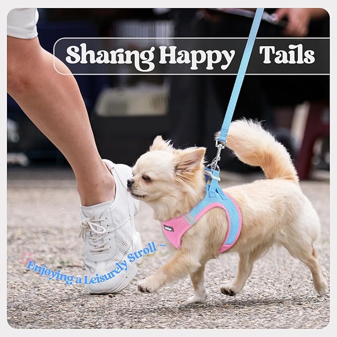 rabbitgoo Dog Harness Medium Sized and Leash Set, Step in Soft Light Puppy Vest, Breathable Mesh Pet Harness, Reflective for Safe Easy Walking, Blue & Light Pink XXL