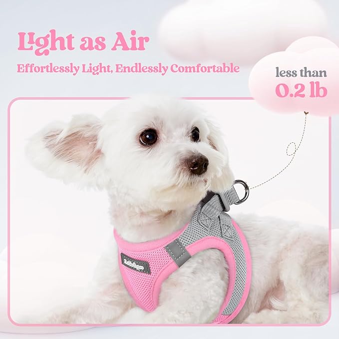 rabbitgoo Dog Harness Small Sized and Leash Set, Step in Soft Light Puppy Vest, Breathable Mesh Pet Harness, Reflective for Safe Easy Walking, Pink & Gray M