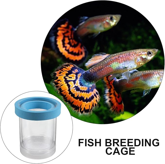 2pcs Aquarium Fish Breeder Box Floating Acrylic Isolation Hatchery Incubator with Suction Cups for Guppy Fry and Small Fish Breeding Tank Separation