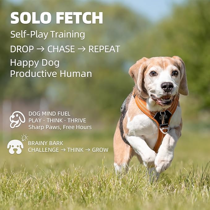 Automatic Dog Ball Launcher-Small Silent Dog Ball Thrower, 3 Adjustable Distances (20ft/33ft/46ft), Rechargable,Includes 3 Durable 2.3" Balls for Small/Medium Dogs (Orange, Medium)