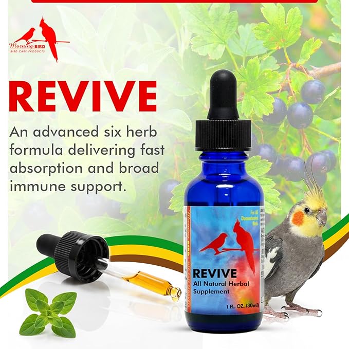 Morning Bird Revive 1 Fl oz – Herbal Extract Blend for Immune Support for Birds - Improved Liquid Formula for Optimum Immune Defense & Faster Absorption - Enhanced Digestive Health, Energy & Wellness