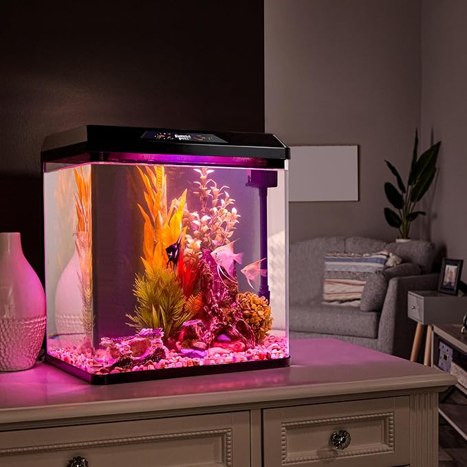 JumblPets Starter Fish Aquarium Kit, 2 Gallon, Complete Beginner Glass Fish Tanks Set with LED Lighting, Internal Filtration System, Filter Media Set, Hood & Lid, Ideal for Freshwater and Marine Fish