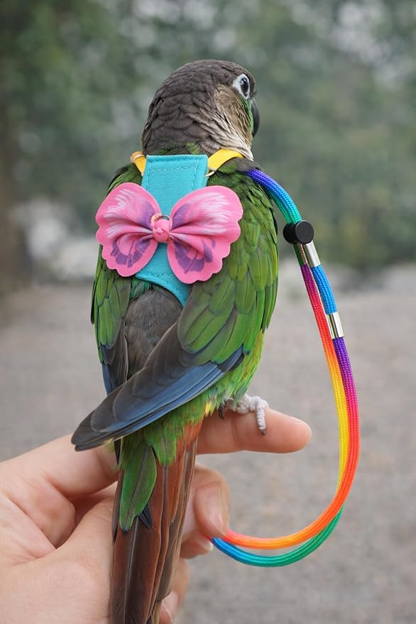 Parrot Harness and Leash Set with Diaper, Washable Pet Bird Diapers with Leash, Flight Suit Set for Outdoor Flying & Training (Size M)