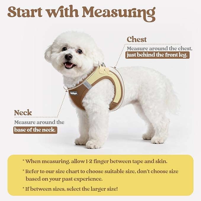 rabbitgoo Dog Harness Small Medium Sized and Leash Set, Step in Soft Light Puppy Vest, Breathable Mesh Pet Harness, Reflective for Safe Easy Walking, Brown & Beige L