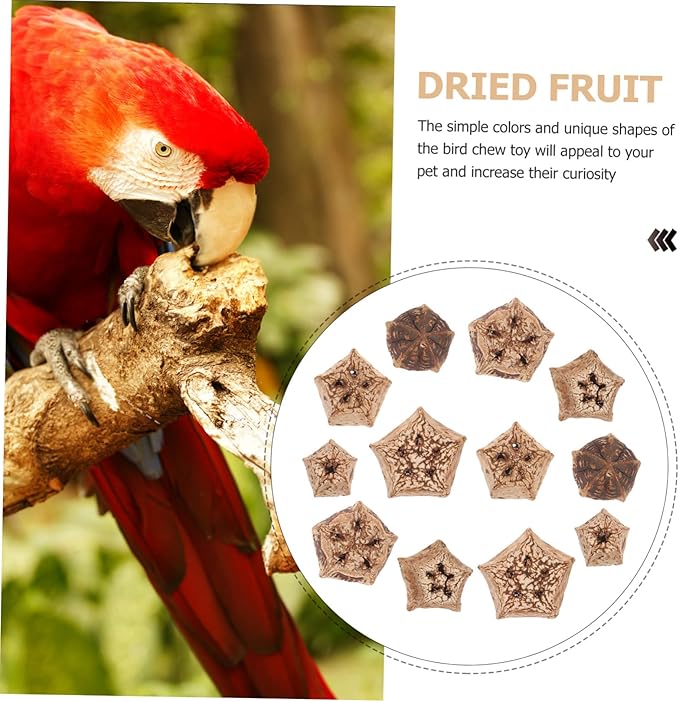 12pcs Natural Bird Chewing for Parrots Budgies Macaws Healthy Foraging Shredding Blocks to Reduce Boredom and Destructive Behavior Natural Material Pet Companion