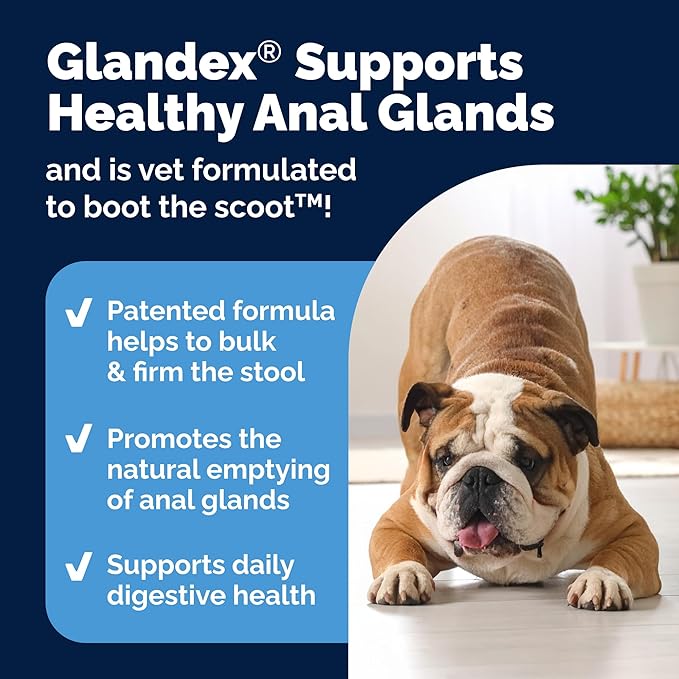 Vetnique Glandex Anal Gland Soft Chew Treats with Pumpkin for Dogs Digestive Enzymes, Probiotics Fiber Supplement for Dogs Boot The Scoot (30ct, Peanut Butter Chews) (Pack of 2)