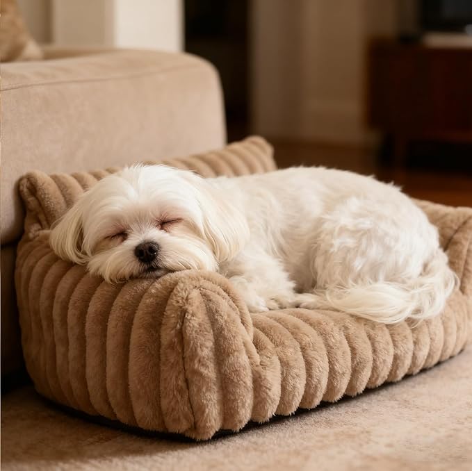Cat Couch for Pets - Cute Cat Beds for Indoor Cats with Removable Cover, Washable Soft Corduroy Plush, Fluffy Supportive Pet Sofa Chair for Small Dog & Cats, 30 inch Brown