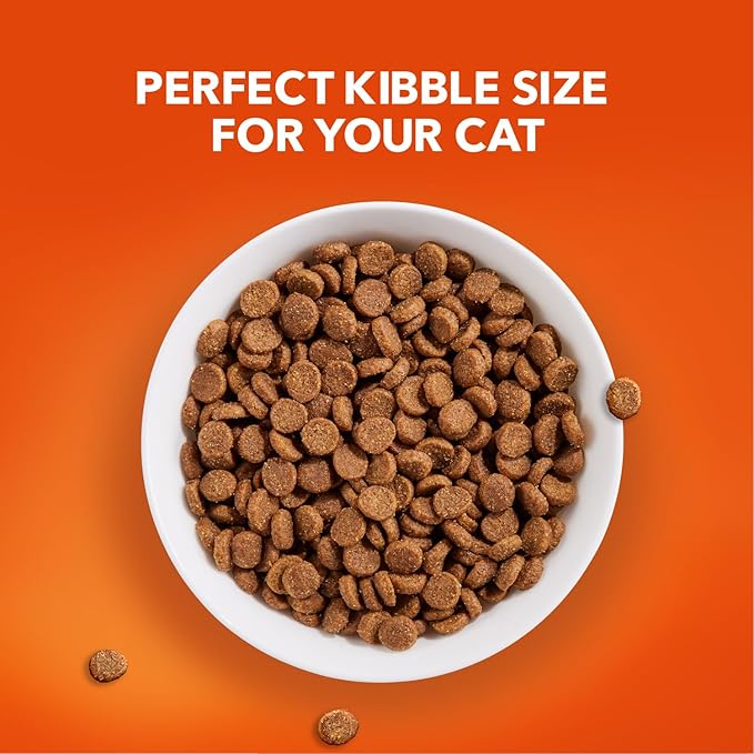 IAMS Proactive Health Senior Dry Cat Food, Cat Food Dry Chicken Recipe, Real Chicken in Every Bite, 7 lb. Bag