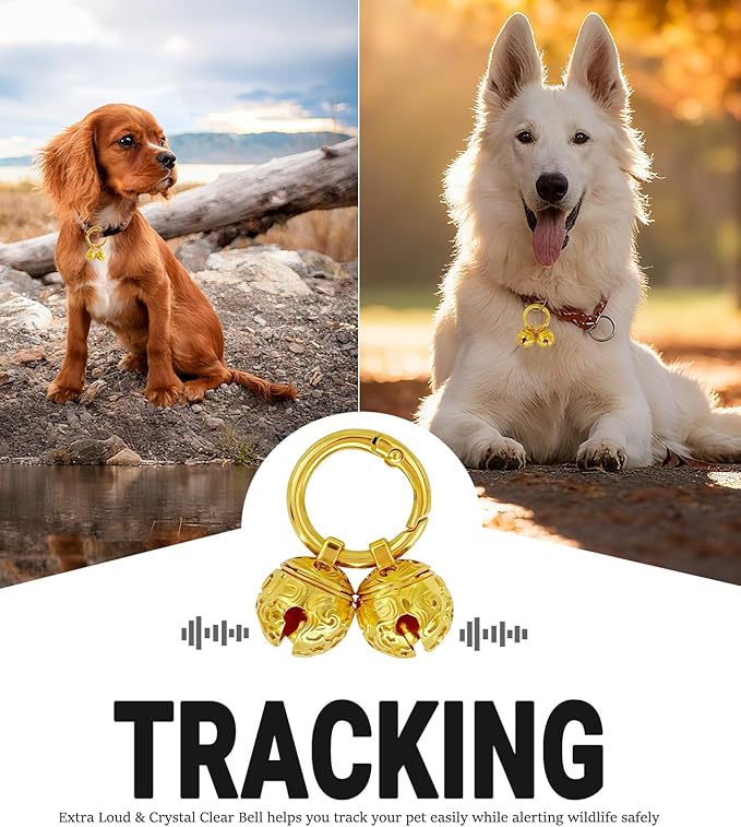 Dog Bells for Collar - 2 Pack Gold Plated Brass Dog & Cat Bells with Engraved Protective Charm, Quick Clasp for Anti-Lost Tracking, Gift for Small & Medium Pet Lovers (Gold,S+M)