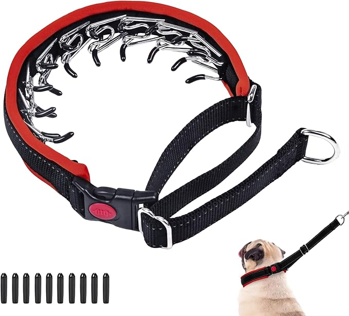 Martingale Collar for Dogs, Hidden No Pull Dog Collar with Buckle, Reflective Nylon Choke Collar Adjustable Limited Slip Collar for Large Medium Small Dogs Anti Pull Training Walking L Red