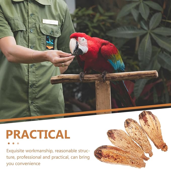 4pcs Natural Parrot Foraging Bird Chewing Fun Safe Chew Treats for Cage Birds Cockatiels Macaws African Greys Budgies