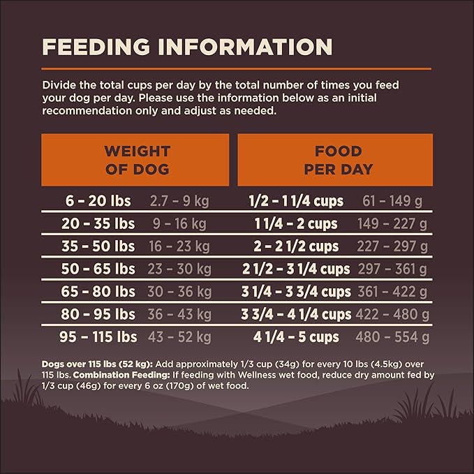 Wellness CORE Adult Dry Dog Food, Grain Free Kibble, Natural, High Protein, Turkey and Chicken Recipe, 12 lb Bag