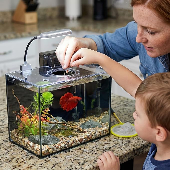 2 Gallon Glass Fish Tank with Filter LED Light Complete Aquarium Starter Kit for Betta, Shrimp, Nano Fish Rimless Small Aquarium with Everything Included
