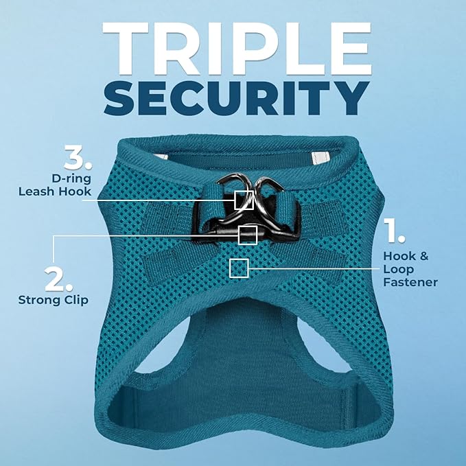Best Pet Supplies Voyager Step-in Air Harness - All Weather Mesh, Reflective, No Pull Harness for Dogs, Cats - Secure with Hook & Loop Fastener, Buckle, Double D-Rings - Turquoise, XXXS