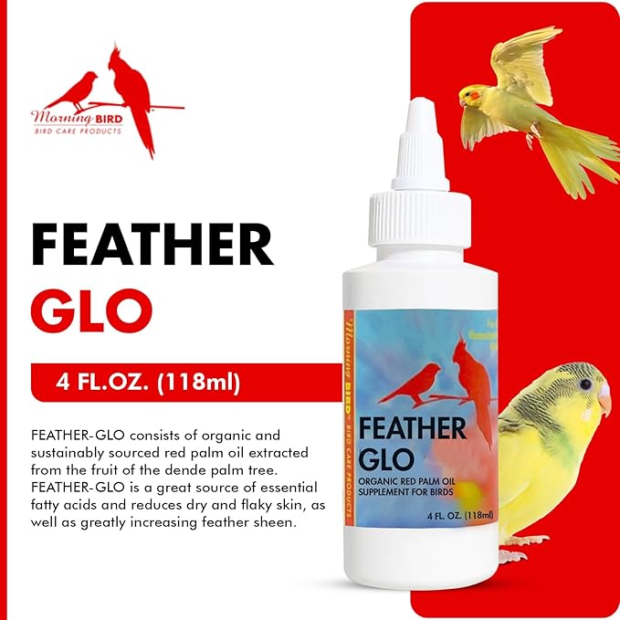 Morning Bird Feather Glo 4 oz – Cold Pressed Red Palm Oil - Natural Vitamin A & E Supplement for Birds – Supports Feather Shine, Skin Health & Immunity – Vitamin & Energy Boost for All Bird Types