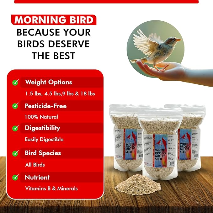 Morning Bird White Proso Millet 4.5 lbs (3-Pack, 1.5 lbs Each) Natural Bird Seed – Supports Feather Growth & Balanced Nutrition – High Energy Delicious Seed - Ideal for Finches, Parakeets & Pet Birds