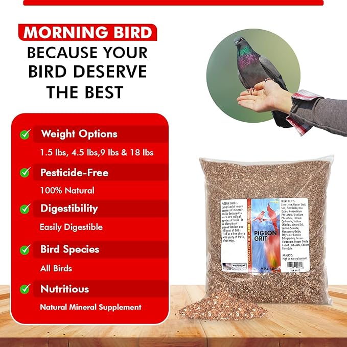 Morning Bird Pigeon Grit - Healthy & Nutritious Pigeon Food to Support Strong Muscles & Bones for Grit Eating Birds - Supports Digestion & Packed with Essential Minerals 9 lbs