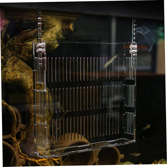 Hanging Fish Breeding Box Isolation Tank for Aquarium Fry with Hook Design Lightweight Portable Fish Tank Accessory for Improved Newborn Survival