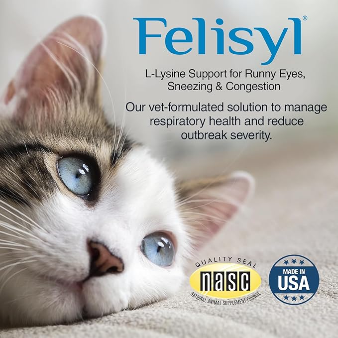 L-Lysine Gel for Cats & Kittens (5oz) – Immune System, Respiratory & Eye Health Support. Reduces Sneezing, Runny Nose & Watery Eyes. Daily Salmon-Flavor Supplement – Made in USA (6 Pack)