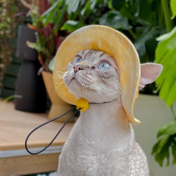 Pet hat with Ear Holes Sunscreen Baseball Cap Suitable for Small and Medium-Sized Dogs Outdoor Climbing hat in Summer Pet Products (Yellow, Small)