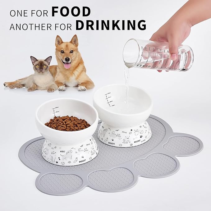 Ceramic Raised Cat Bowl Set | Elevated Food and Water Bowls for Cats and Small Dogs | 2 Pack Tilted With Anti-Slip Silicone Mat (Gray)