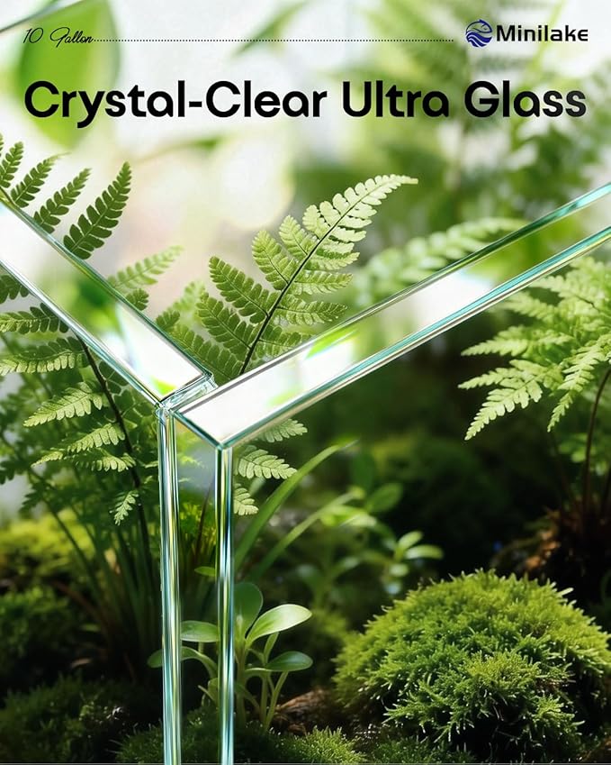 10 Gallon Ultra Clear Rimless Glass Fish Tank, Easy to Maintain Small Aquarium for Betta, Goldfish, Shrimp, Snails and Aquatic Plants