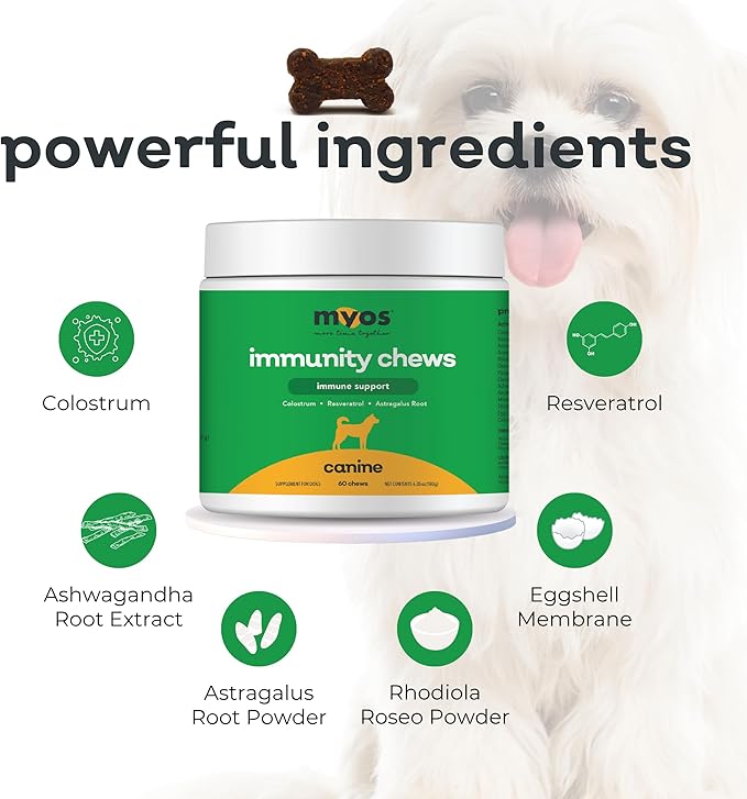 MYOS Immunity Chew for Dogs - Immune System Support, Antioxidants, Helps Cellular Health & Vitality- with Colostrum, Resveratrol, Astragalus Root, and Mushrooms- Daily Chewable Supplement