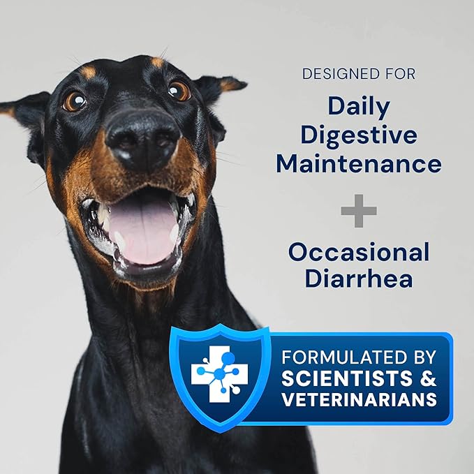 Animal Biome Gut Maintain Probiotics and Prebiotics for Dogs - Reduce Diarrhea Flareups - for Medium Dogs (60 Capsules)